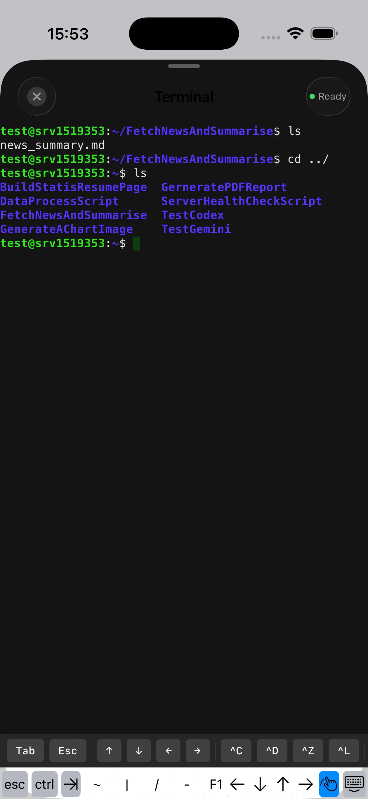 Terminal